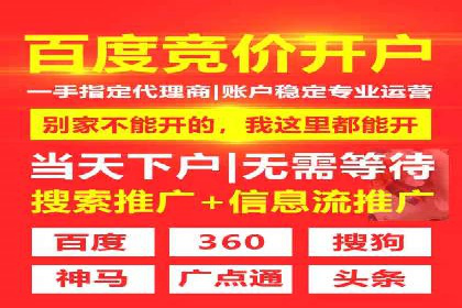 搜索引擎营销（SEM）在移动端的投放案例